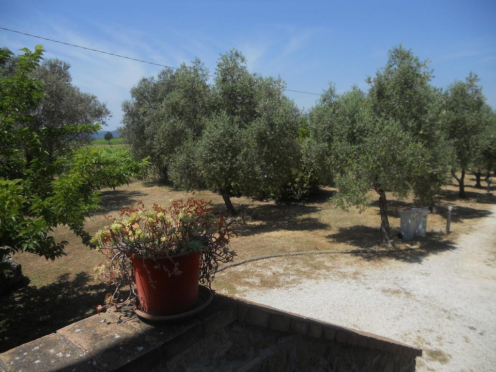 Agriturismo Tenuta Roccaccia Pitigliano Extérieur photo