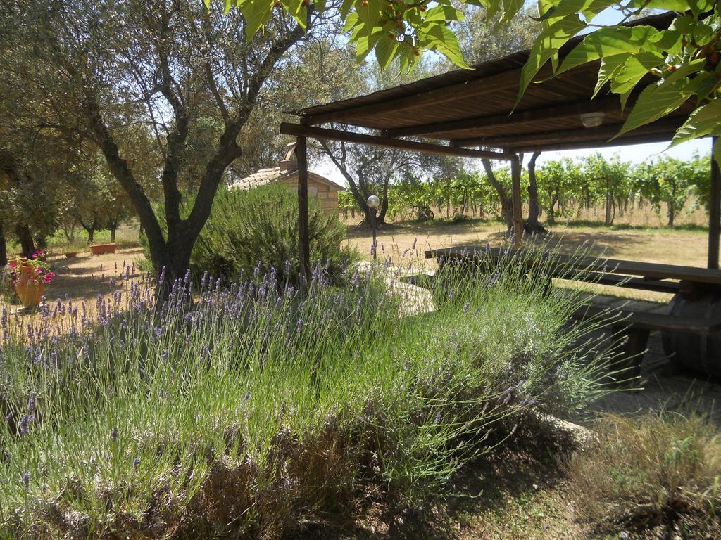 Agriturismo Tenuta Roccaccia Pitigliano Extérieur photo